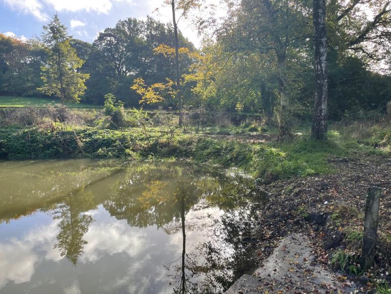 pond restoration Dorset