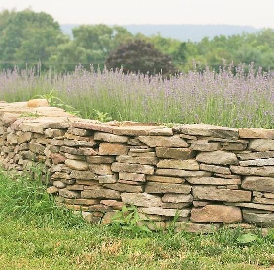 Poole garden stone wall